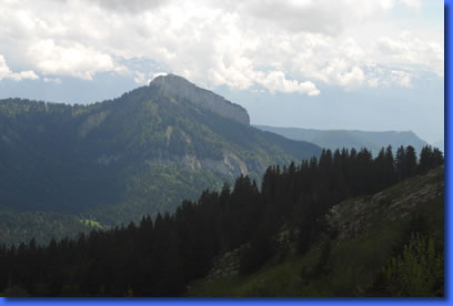 La Pinéa, massif de la Chartreuse